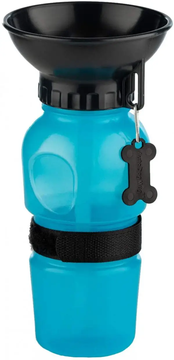 typo dog water bottle
