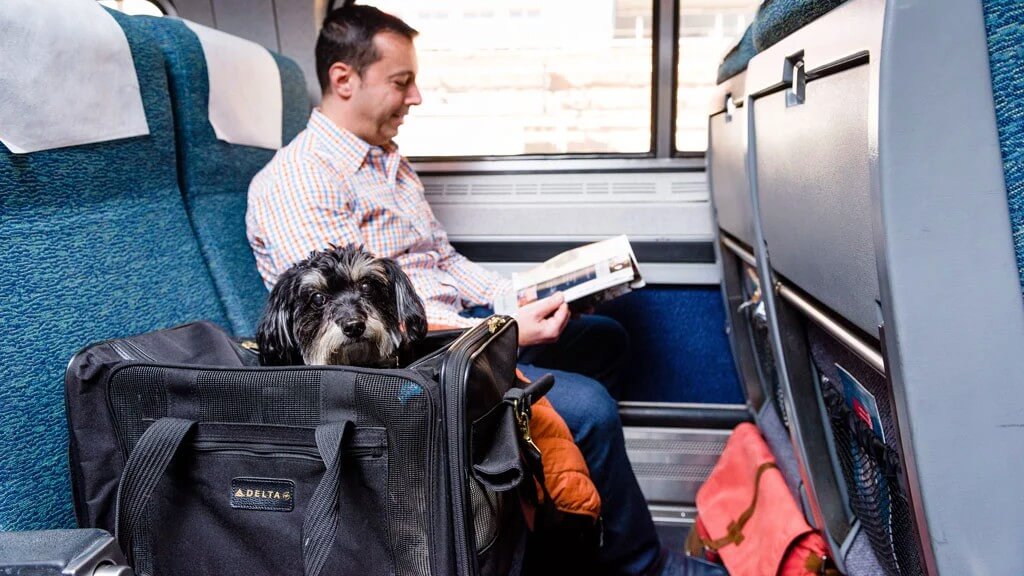 are you allowed to take dogs on trains