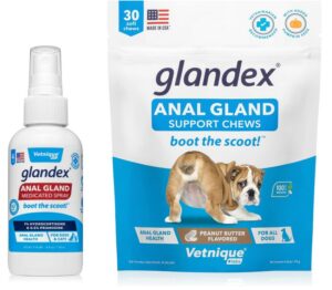 Glandex Anal Gland Soft Chew Treats with Pumpkin for Dogs 60ct
