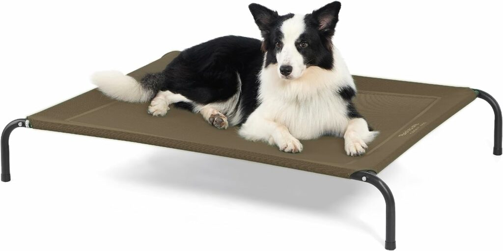 The 8 Best Cooling Dog Beds of 2024